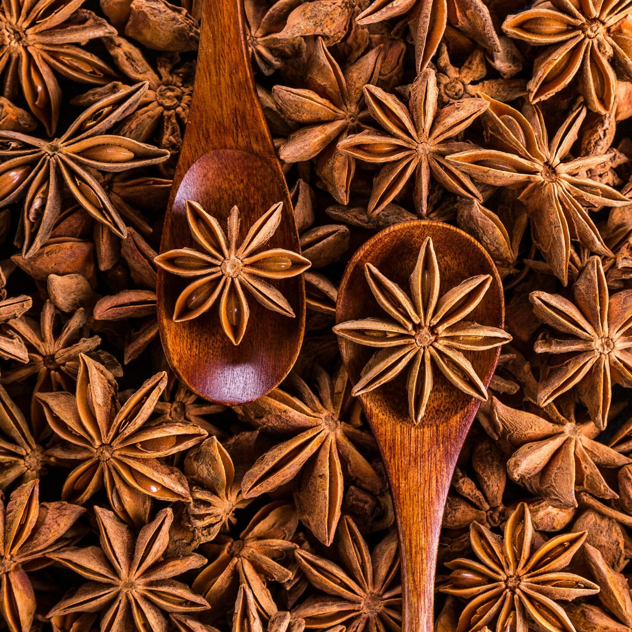 Badal Phool – बादल फुल – Star Anise
