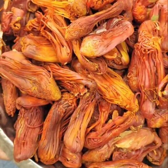 Rampatri – रामपत्री – Rampatri