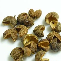 Triphala – त्रिफला – Triphala